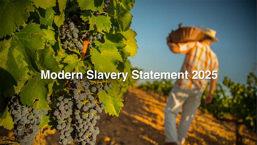 Enotria&Coe's Modern Slavery Statement 2025